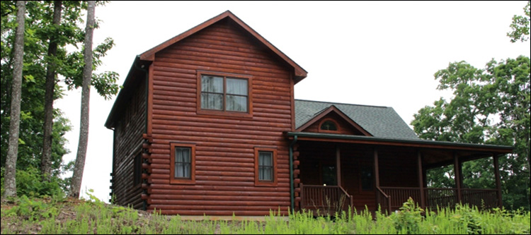 Professional Log Home Borate Application  Patterson,  North Carolina